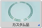 �J�X�^���i